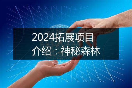2024拓展项目介绍：神秘森林