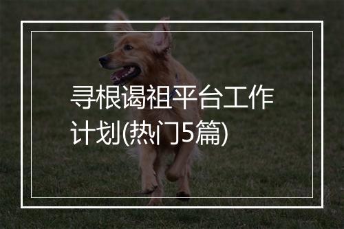 寻根谒祖平台工作计划(热门5篇)