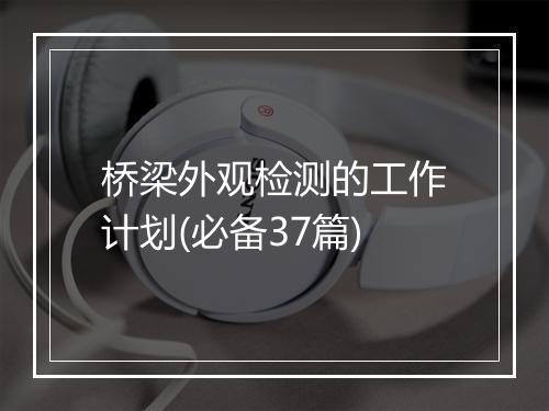 桥梁外观检测的工作计划(必备37篇)