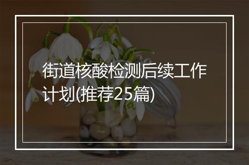 街道核酸检测后续工作计划(推荐25篇)