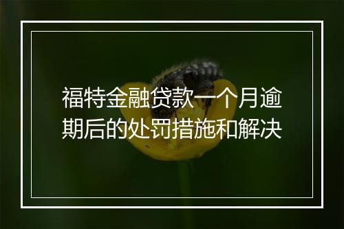 福特金融贷款一个月逾期后的处罚措施和解决