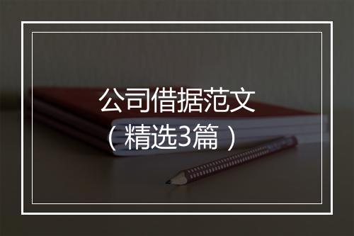 公司借据范文（精选3篇）