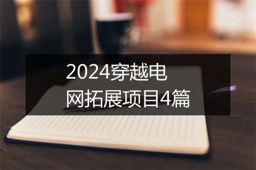 2024穿越电网拓展项目4篇