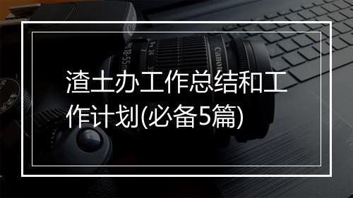 渣土办工作总结和工作计划(必备5篇)