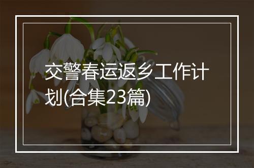 交警春运返乡工作计划(合集23篇)