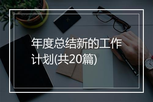 年度总结新的工作计划(共20篇)