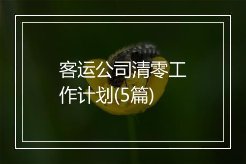 客运公司清零工作计划(5篇)