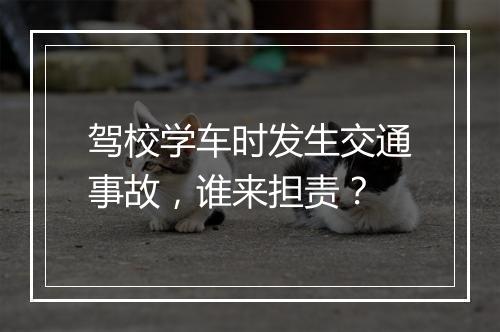 驾校学车时发生交通事故，谁来担责？