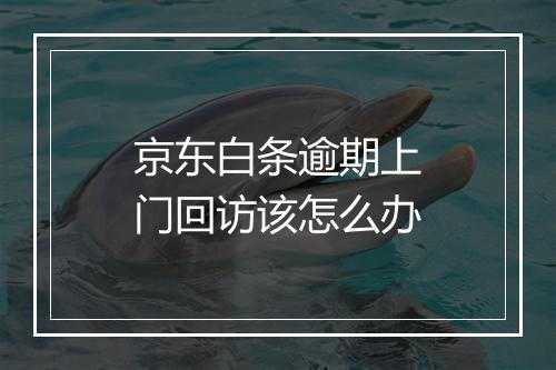 京东白条逾期上门回访该怎么办