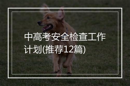 中高考安全检查工作计划(推荐12篇)