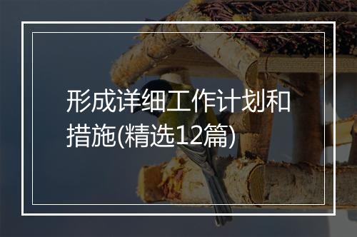 形成详细工作计划和措施(精选12篇)