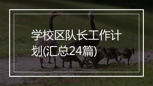 学校区队长工作计划(汇总24篇)