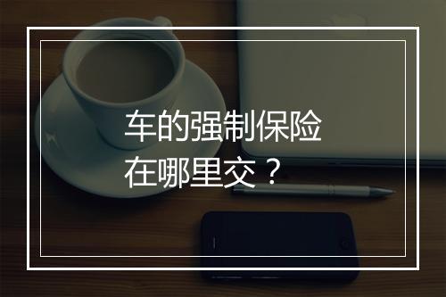 车的强制保险在哪里交？