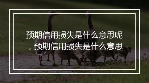 预期信用损失是什么意思呢，预期信用损失是什么意思