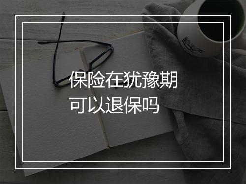 保险在犹豫期可以退保吗