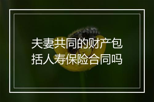 夫妻共同的财产包括人寿保险合同吗