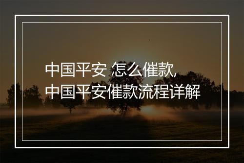 中国平安 怎么催款,中国平安催款流程详解