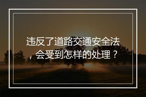 违反了道路交通安全法，会受到怎样的处理？