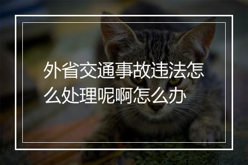 外省交通事故违法怎么处理呢啊怎么办