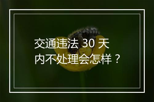 交通违法 30 天内不处理会怎样？