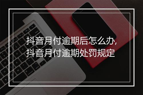 抖音月付逾期后怎么办,抖音月付逾期处罚规定