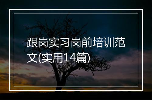 跟岗实习岗前培训范文(实用14篇)