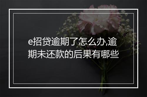e招贷逾期了怎么办,逾期未还款的后果有哪些