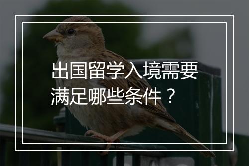 出国留学入境需要满足哪些条件？