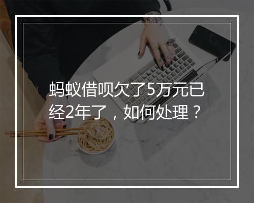 蚂蚁借呗欠了5万元已经2年了，如何处理？