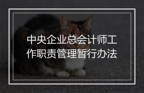 中央企业总会计师工作职责管理暂行办法