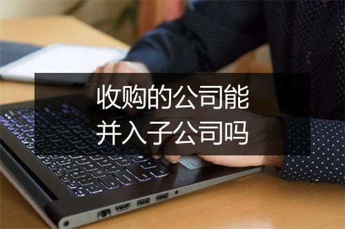 收购的公司能并入子公司吗