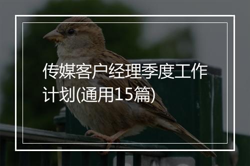 传媒客户经理季度工作计划(通用15篇)