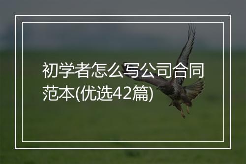 初学者怎么写公司合同范本(优选42篇)