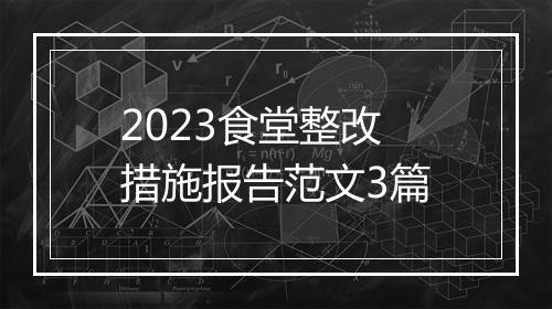 2023食堂整改措施报告范文3篇