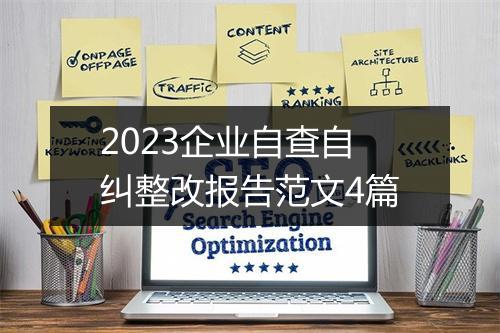 2023企业自查自纠整改报告范文4篇