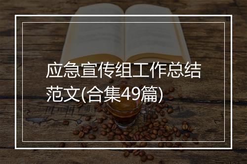 应急宣传组工作总结范文(合集49篇)