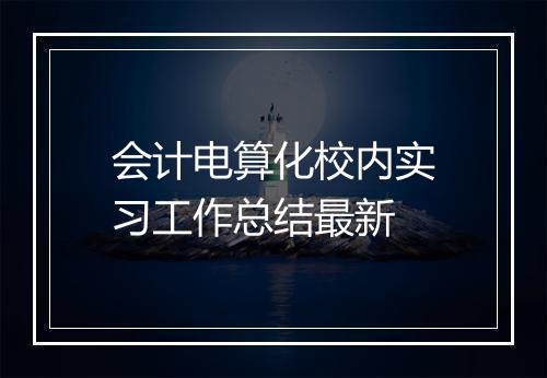 会计电算化校内实习工作总结最新