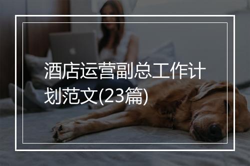 酒店运营副总工作计划范文(23篇)