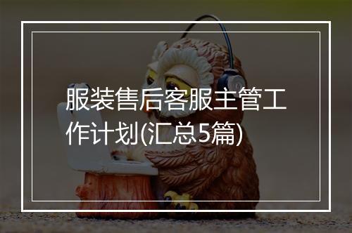 服装售后客服主管工作计划(汇总5篇)