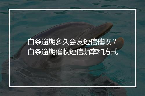 白条逾期多久会发短信催收？白条逾期催收短信频率和方式