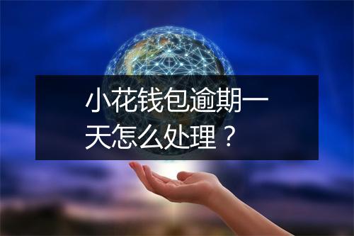 小花钱包逾期一天怎么处理？