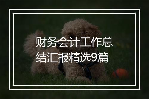 财务会计工作总结汇报精选9篇