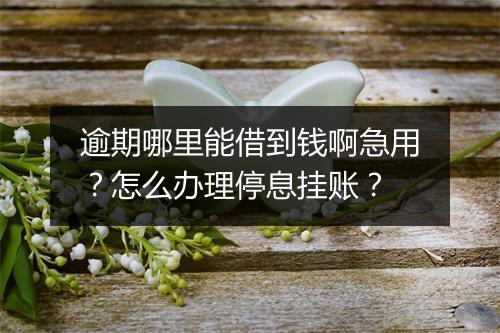 逾期哪里能借到钱啊急用？怎么办理停息挂账？