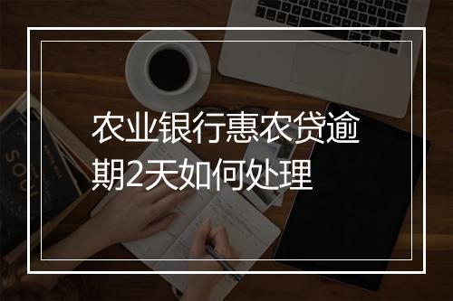 农业银行惠农贷逾期2天如何处理