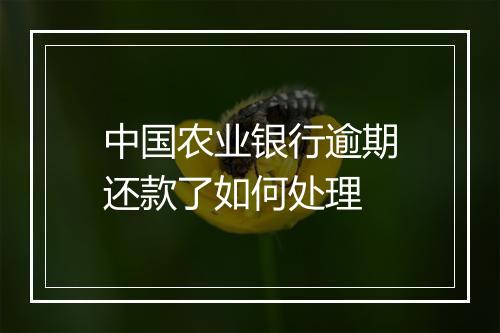中国农业银行逾期还款了如何处理