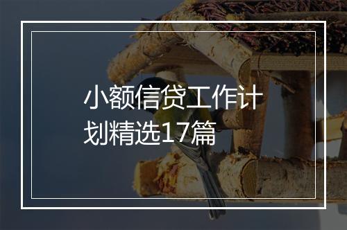 小额信贷工作计划精选17篇