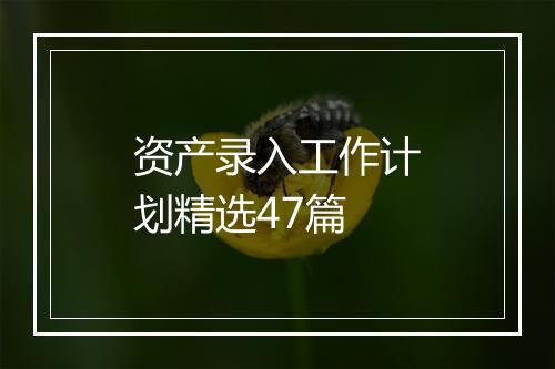 资产录入工作计划精选47篇
