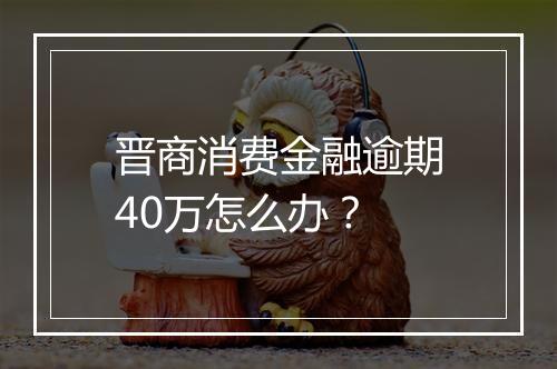 晋商消费金融逾期40万怎么办？