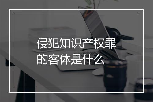 侵犯知识产权罪的客体是什么