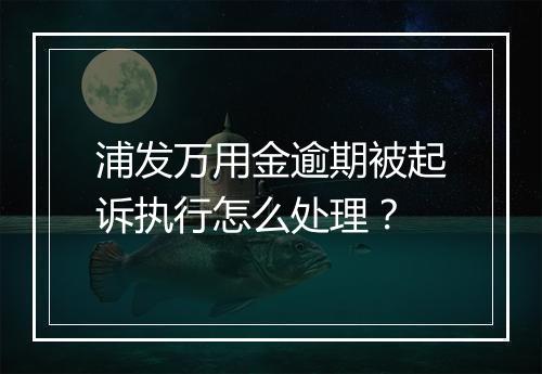 浦发万用金逾期被起诉执行怎么处理？